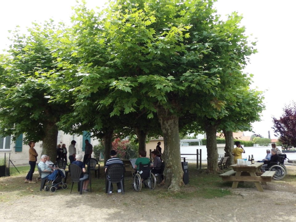 Groupes de personnes sous un grand arbre, certaines en fauteuil roulant, discutant et socialisant.