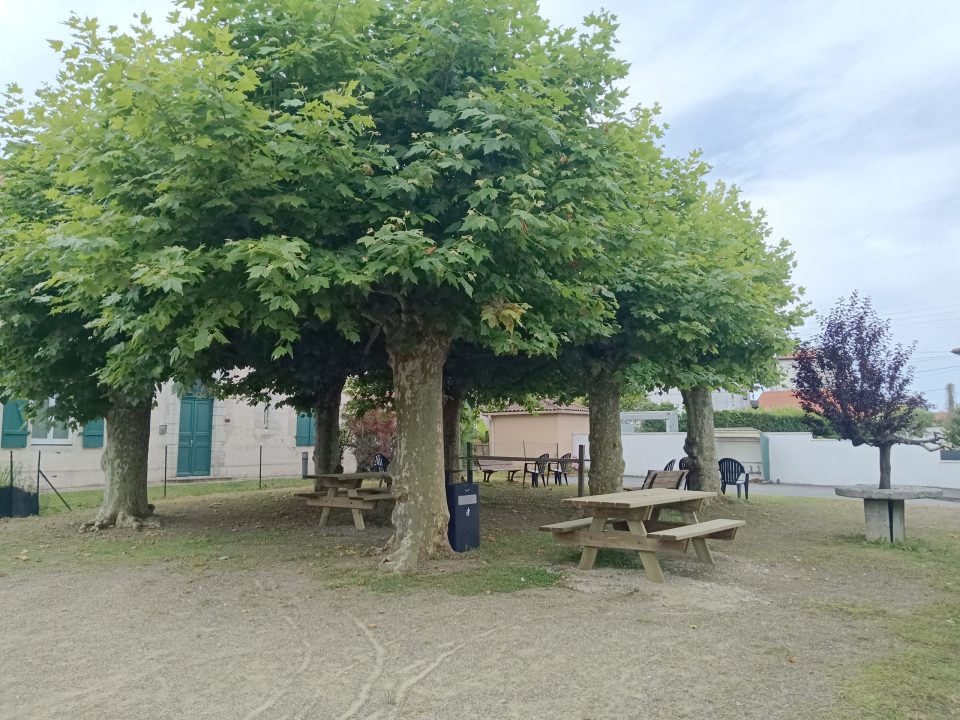 Arbres avec bancs en dessous, ciel nuageux