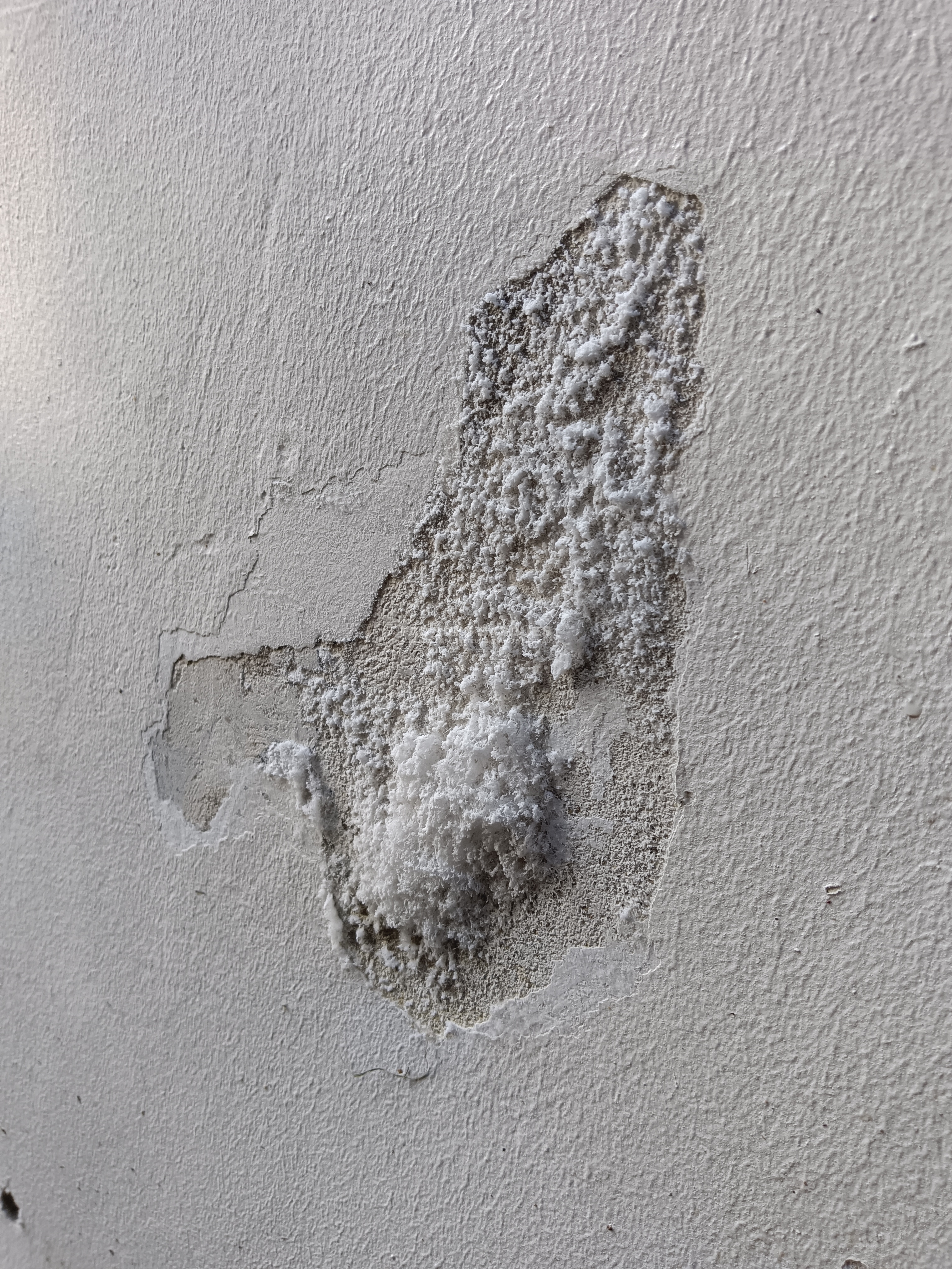 Traitement contre l'humidité d'une maison à Biarritz, 64200, Pyrénées-Atlantiques