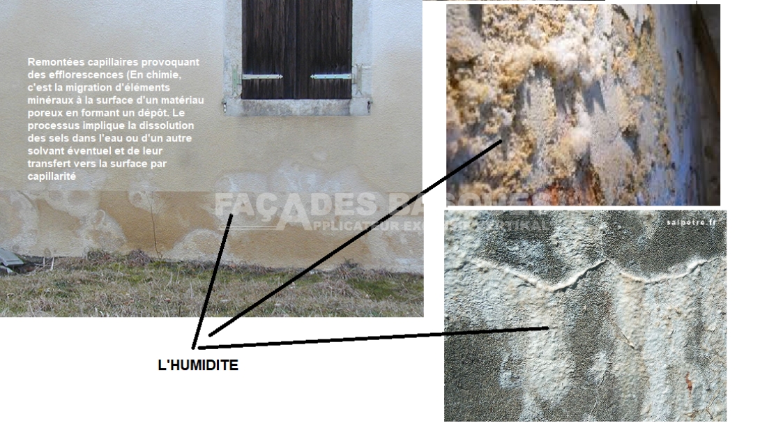 Bayonne, 64100, Traitement contre l'humidité