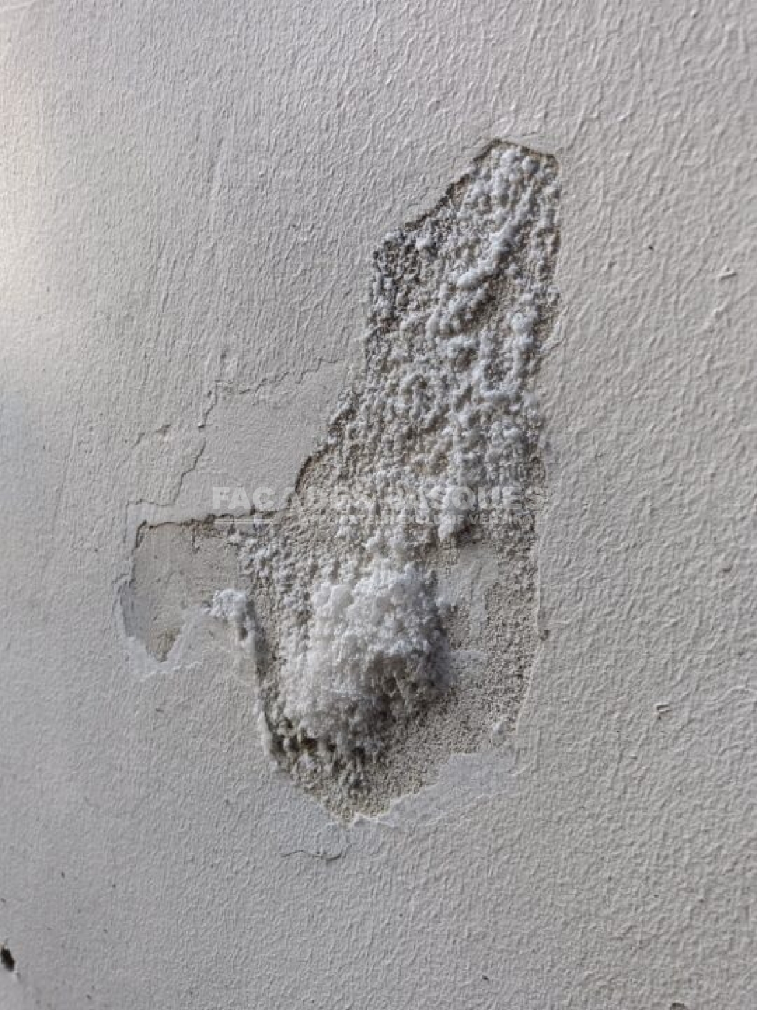 Hasparren, 64240, Traitement contre l'humidité