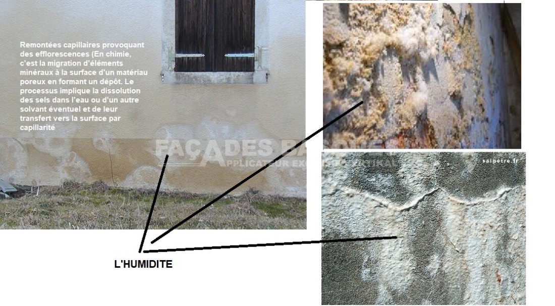 Hasparren, 64240, Traitement contre l'humidité