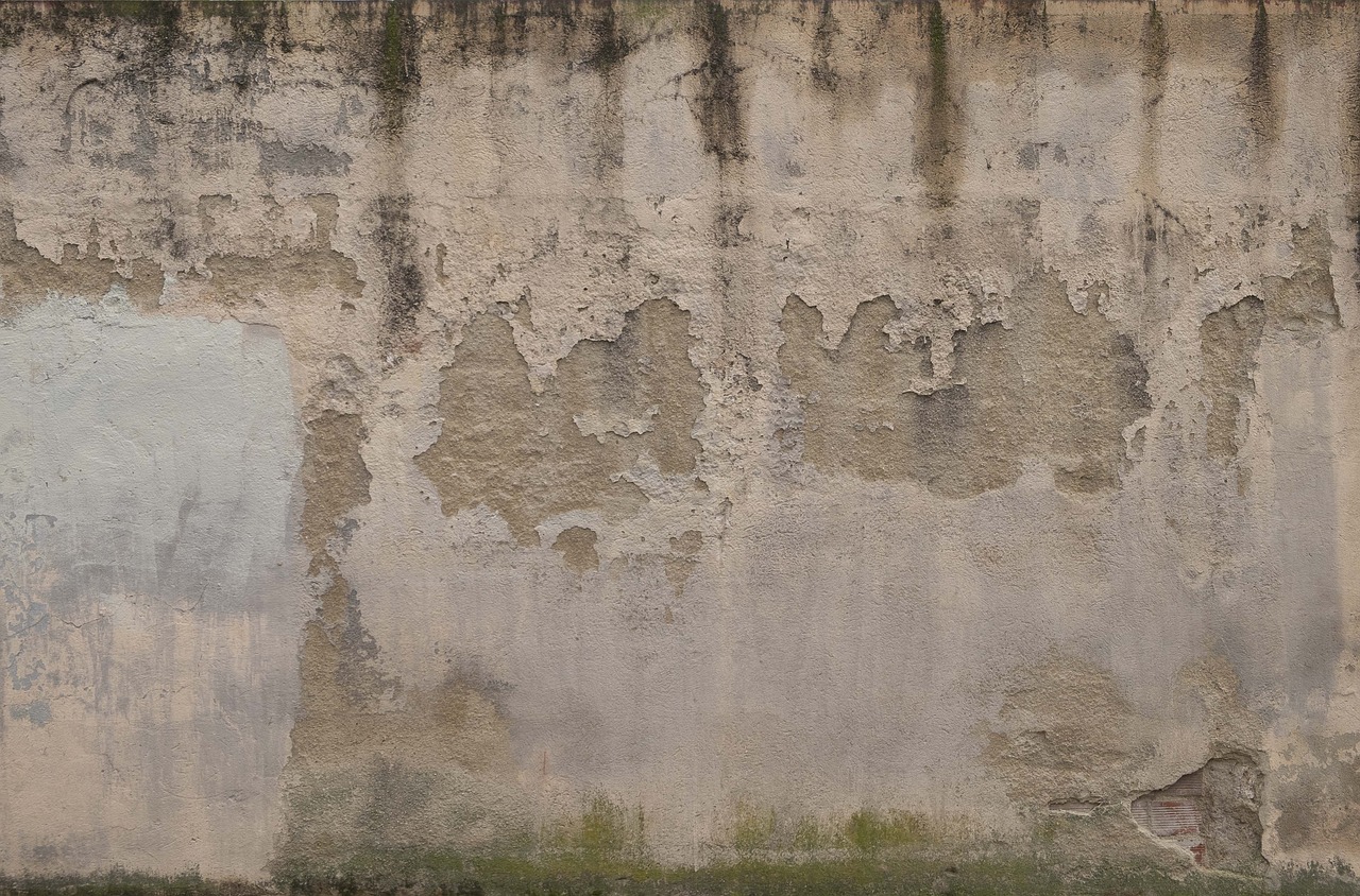 Dégats des eaux dans les murs